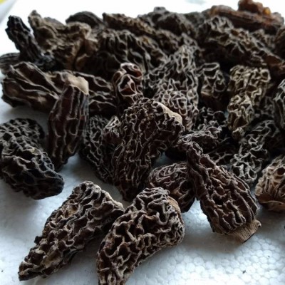 云南特产野生羊肚菌干货全剪柄2-6cm肉质厚羊肚菌批发100g批发图2