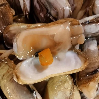 温州特产 醉蛏子即食下酒饭菜腌制海鲜 贝类 醉圣子500g 咸蛏子图4