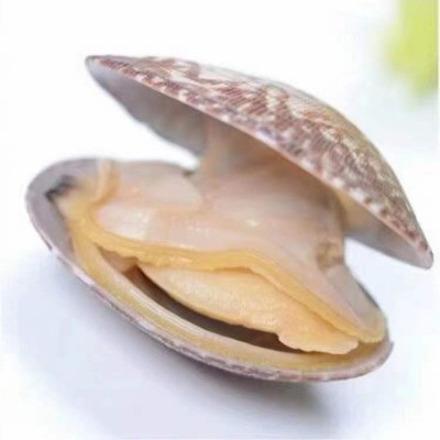 真空花蛤蜊花甲粉冷冻即食海鲜贝花甲沙蚬子鲜美杂色熟蛤蜊500克图3