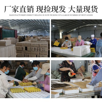 河南特产我老家土鸡蛋批发 农家散养新鲜草鸡蛋厂家直销图4