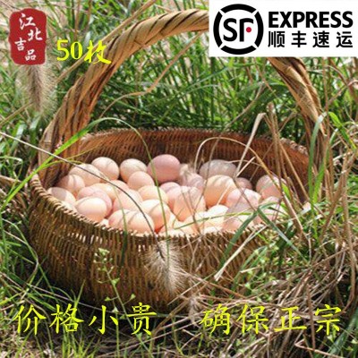 【50枚装】苏北农村散养土鸡蛋农家新鲜柴草鸡蛋一件代发中通包邮图3