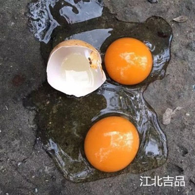 【30枚装土鸡蛋】苏北农村土鸡蛋新鲜柴笨草鸡蛋专业中通一件代发图2