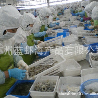 厂家供应 南美鲜虾仁20斤/箱 110/130南美虾仁冷冻 冻虾仁批发图3