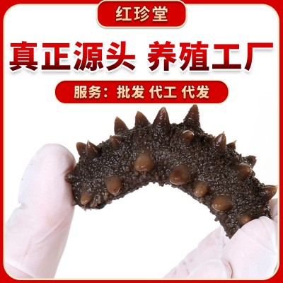 红珍堂大连海参批发大连特产非礼盒海产品非干参大连即食海参图2