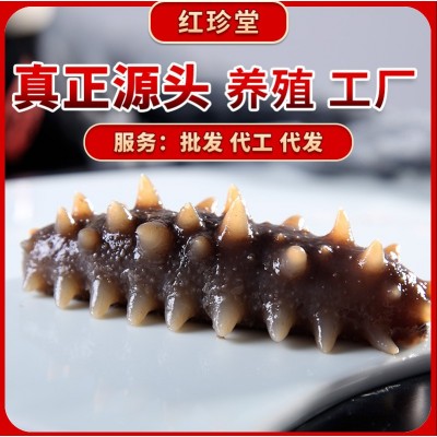 红珍堂大连海参批发大连特产非礼盒海产品非干参大连即食海参图3
