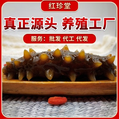 红珍堂大连海参批发大连特产非礼盒海产品非干参大连即食海参图5
