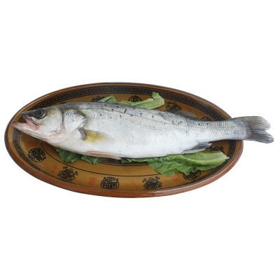 连云港水产批发海鲜鲜活鲈鱼新鲜大鲈鱼花鲈冷冻鲈鱼公司饭店团购图4