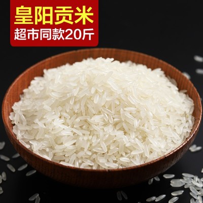 万年贡皇阳丝苗王10kg米长粒香大米油粘米粥新米20斤图2