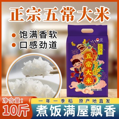 大稻三千 五常大米5kg东北大米10斤长粒米当季新米批发一件代发图5