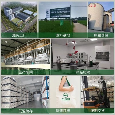 源头厂家礼品大米5kg煲仔饭新米丝苗米籼米长粒香米大米10斤批发图4