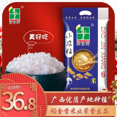 稻金乡5kg小农粘米广西大米10斤装晚籼新米长粒香米广东佛山批发图2