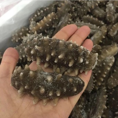 单冻即食海参批发 高压即食抽真空海参 高回头率送礼海参500g图3