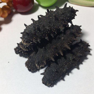 大连深海底播纯淡干海参干货批发50g 大型海参工厂稳定一手货源图3