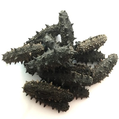 大连深海底播纯淡干海参干货批发50g 大型海参工厂稳定一手货源图4