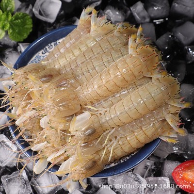 熟冻皮皮虾鲜货冷冻皮皮虾鲜活海鲜带黄皮皮虾特大商用批发图3