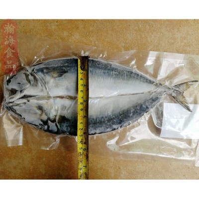 开背青花鱼 开边胎鱼 一夜干烤鱼 烧烤 冷冻海鲜食材厂家图3
