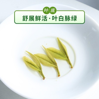 2022新茶皖西白茶安徽白茶茶叶六安白茶散装罐装春茶50g图3