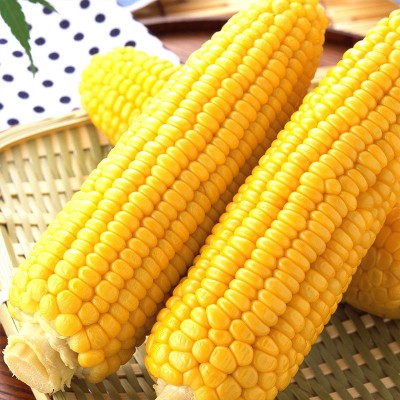 即食甜玉米 甜玉米穗 纳祺真空玉米棒 甜玉米穗图3