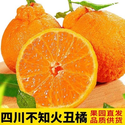 四川丑橘不知火丑八怪9斤新鲜水果整箱橘子果园直发图3