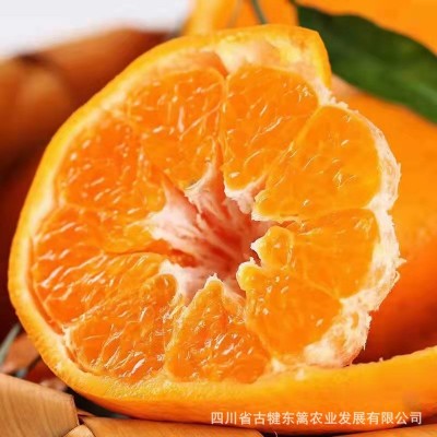 四川耙耙柑 当季新鲜水果 现摘现发耙耙柑 整箱水果礼盒图4