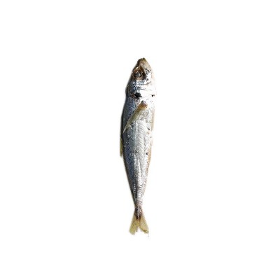 海鲜干货巴浪鱼干250g 漳州东山岛小鱼干厂家货源一件代发批发图5