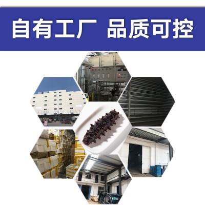 一手货源大连辽刺身高压即食海参板冻系列15头批发酒店佛跳墙从德图4