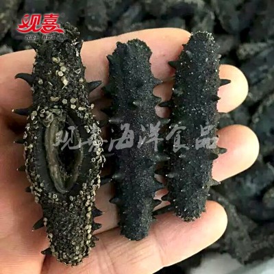观喜底播淡干海参8年老头参王 9年深海淡干刺参 一手货源50g散货图3