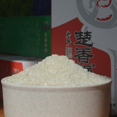 香米粥 米质细腻 绵软鲜嫩 家用餐饮大米煮粥煮饭大米 1KG/盒装图3