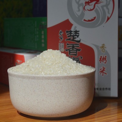 香米粥 米质细腻 绵软鲜嫩 家用餐饮大米煮粥煮饭大米 1KG/盒装图2