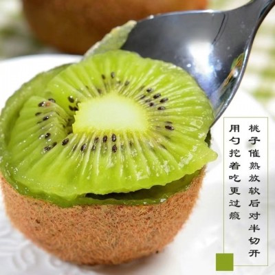 陕西周至徐香猕猴桃新鲜水果现摘现发酸甜奇异果大果图2