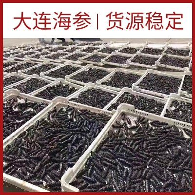 大连特产淡干海参大连海参水产干货辽参刺参小海参批发500g图2