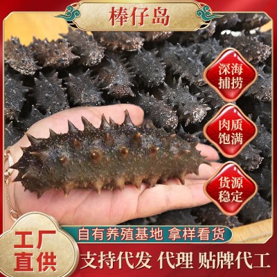 厂家直销大连淡干海参辽参高刺海参干货批发100g简易礼盒半干海参图2