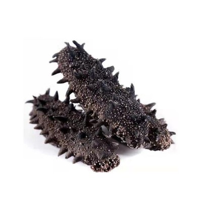 厂家直销大连淡干海参辽参高刺海参干货批发100g简易礼盒半干海参图5