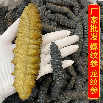 海参干货爆款 深海淡干 龙纹黑刺参 螺纹参 水产干营养非辽参500g图2