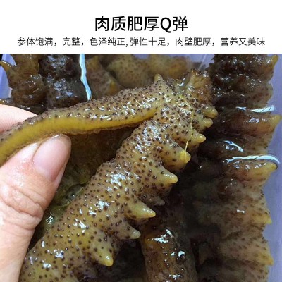 海参干货爆款 深海淡干 龙纹黑刺参 螺纹参 水产干营养非辽参500g图4