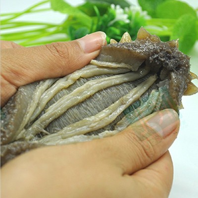 大连淡干海参 海参干货 野生海参 破肚开口参 非即食速发海参250g图4