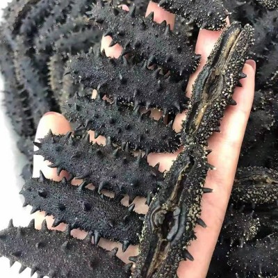 开口参30-80规格 大连海参干货淡干海参全开口参辽刺参批发代发图4