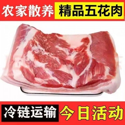 猪肉五花肉新鲜现整块红烧肉散养土猪肉整箱批发餐饮生鲜肉禽类猪图4