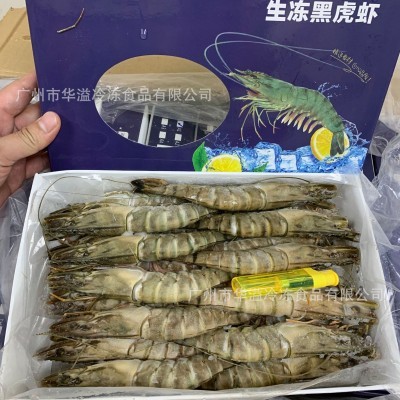 生冻黑虎虾 20头1.8斤/盒 生冻海虾 冷冻九节虾 虎虾 草虾 对虾图2