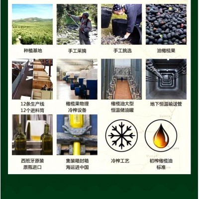 【陈克明食用油】248ml西班牙原油进口特级初榨橄榄油礼品批发代发图2