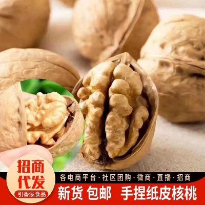 批发代发新疆阿克苏185纸皮核桃500g 手剥即开休闲零食原味核桃图3