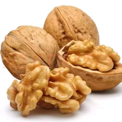 批发代发新疆阿克苏185纸皮核桃500g 手剥即开休闲零食原味核桃图5