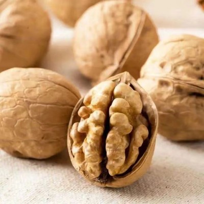 批发代发新疆阿克苏185纸皮核桃500g 手剥即开休闲零食原味核桃图4
