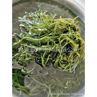 火锅，砂锅，凉拌用淡干海带丝圆饼每块70g图2