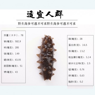 半干海参 3A 大连海参盐干辽非即食海参干货500克拉缸盐海参批发图3