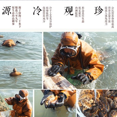 禾夕堂淡干9A 大连淡干海参干货50g海刺参辽参非即食海参礼盒批发图3