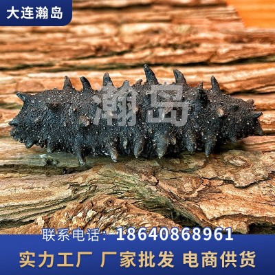 大连瀚岛纯淡干海参批发大连辽刺参厂家批发海参一件代发50克图2