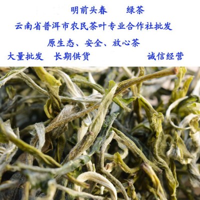 云南滇绿茶普洱产地滇青散茶2023年春茶绿茶清香甘甜厂家批发图2
