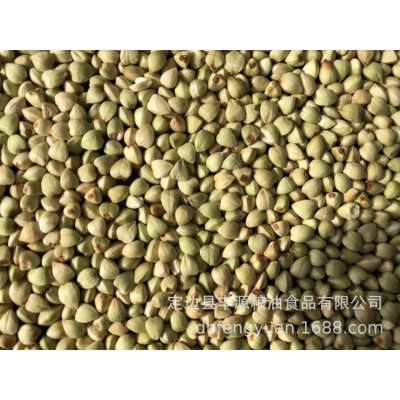2019年产 厂家直销 荞麦米 欢迎咨询 03图4