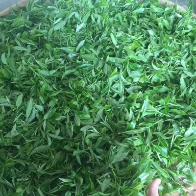 2023年春季新茶120元/斤碧螺春 明前绿茶浓清香耐泡绿茶散装 毫香图5